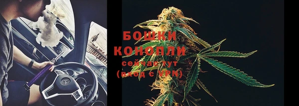 каннабис Дмитриев
