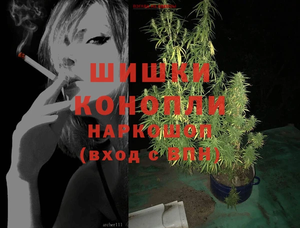 сатива Гусев