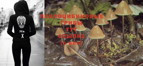jwh Дмитров