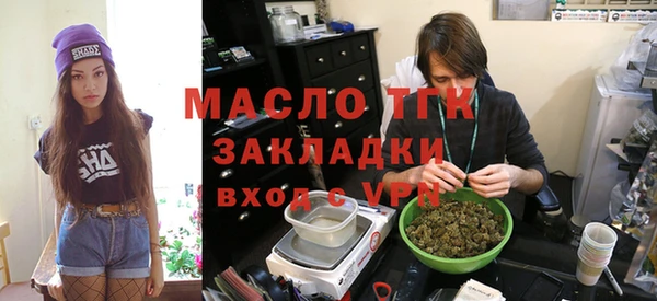 прущие грибы Сосновый Бор